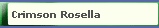 Crimson Rosella