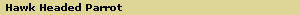 Hawk Headed Parrot