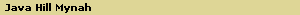 Java Hill Mynah