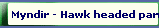 Myndir - Hawk headed parrot