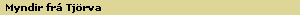 Myndir fr� Tj�rva